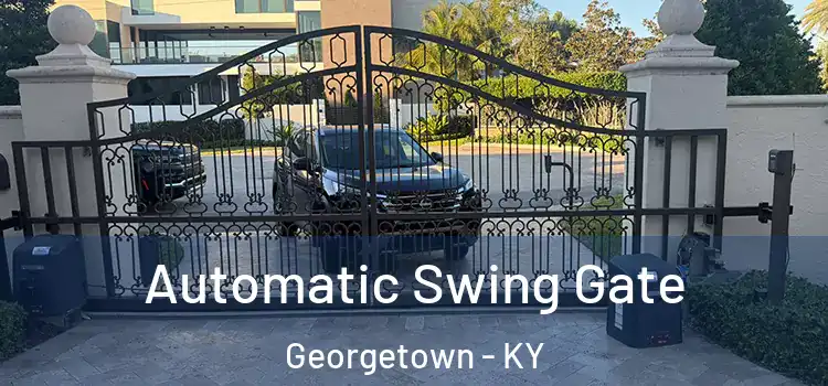 Automatic Swing Gate Georgetown - KY
