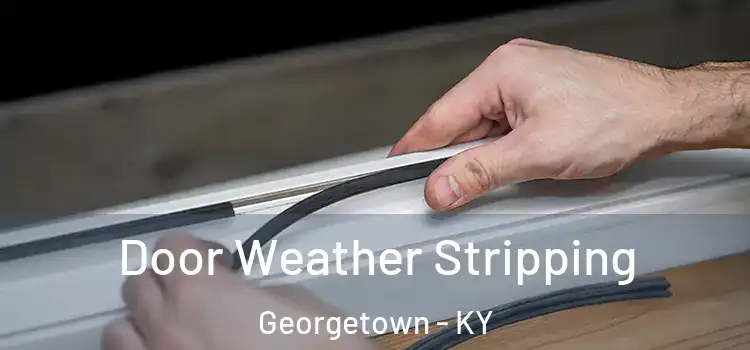Door Weather Stripping Georgetown - KY