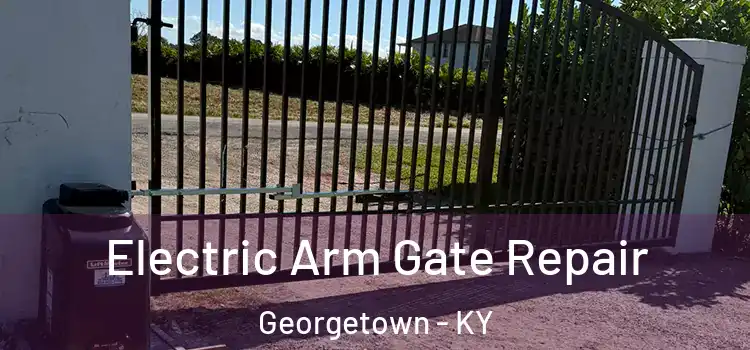 Electric Arm Gate Repair Georgetown - KY