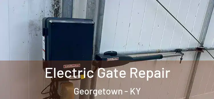 Electric Gate Repair Georgetown - KY