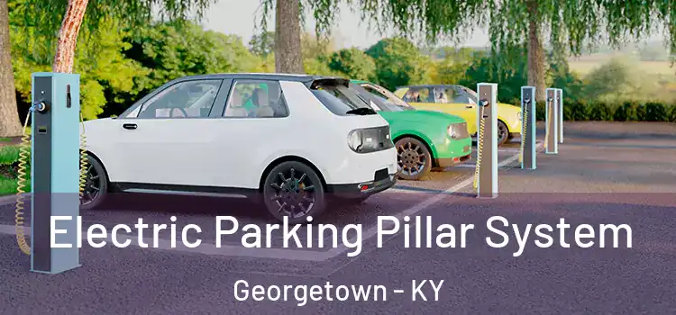 Electric Parking Pillar System Georgetown - KY