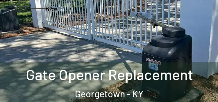 Gate Opener Replacement Georgetown - KY