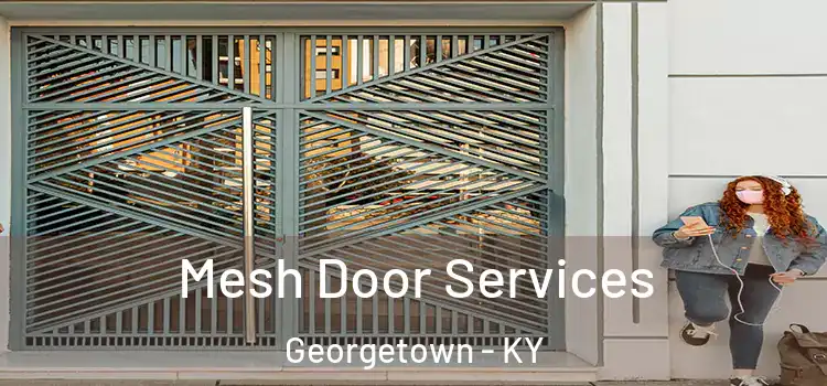 Mesh Door Services Georgetown - KY