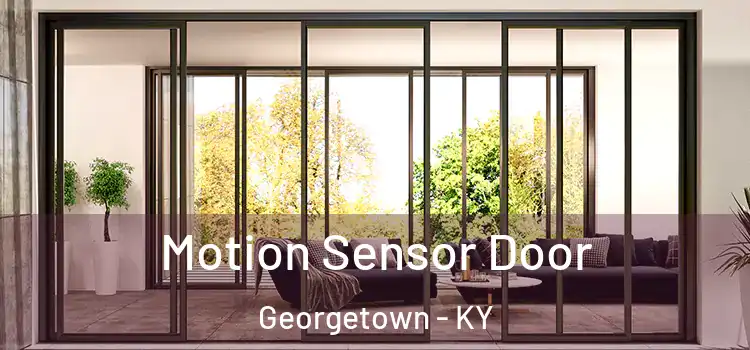Motion Sensor Door Georgetown - KY
