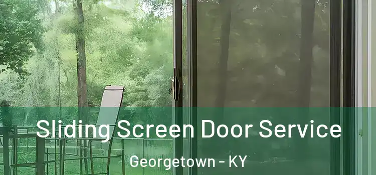 Sliding Screen Door Service Georgetown - KY